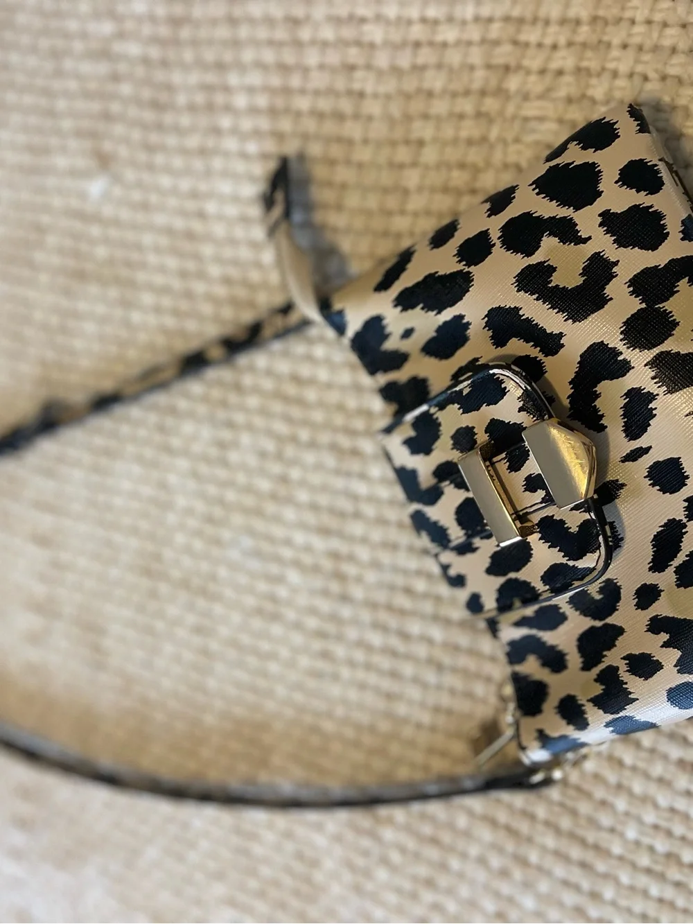 Leopard Print Crossbody Bag with Gold Accent in Black and Cream